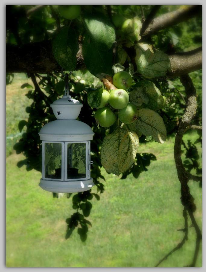 Cascina Luvot Bed & Breakfast Melazzo Bagian luar foto