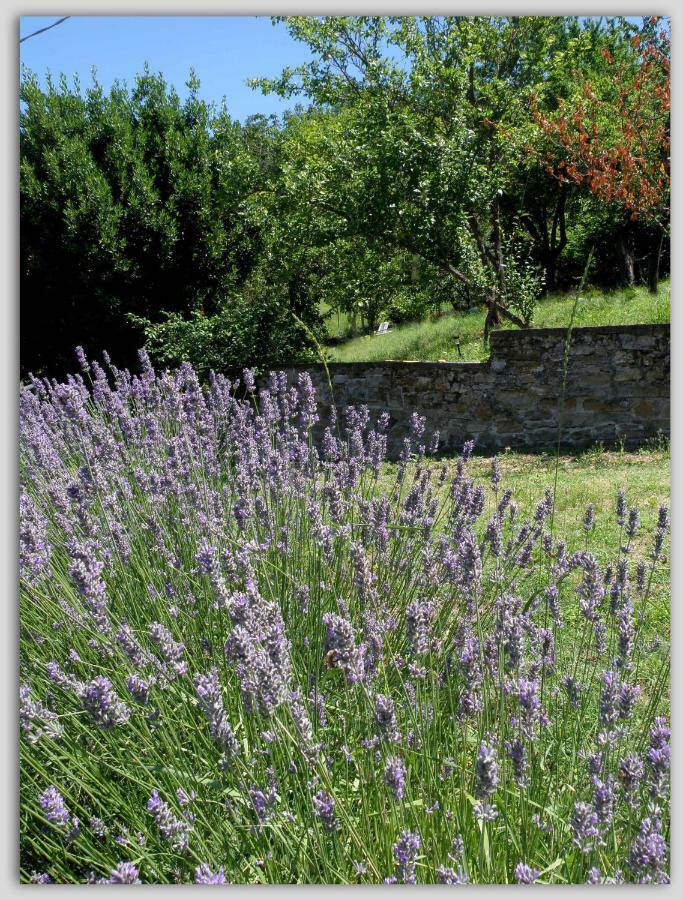 Cascina Luvot Bed & Breakfast Melazzo Bagian luar foto
